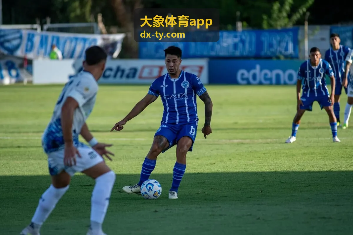 大象体育app运动数据分析面板